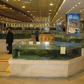 15 live fish tanks